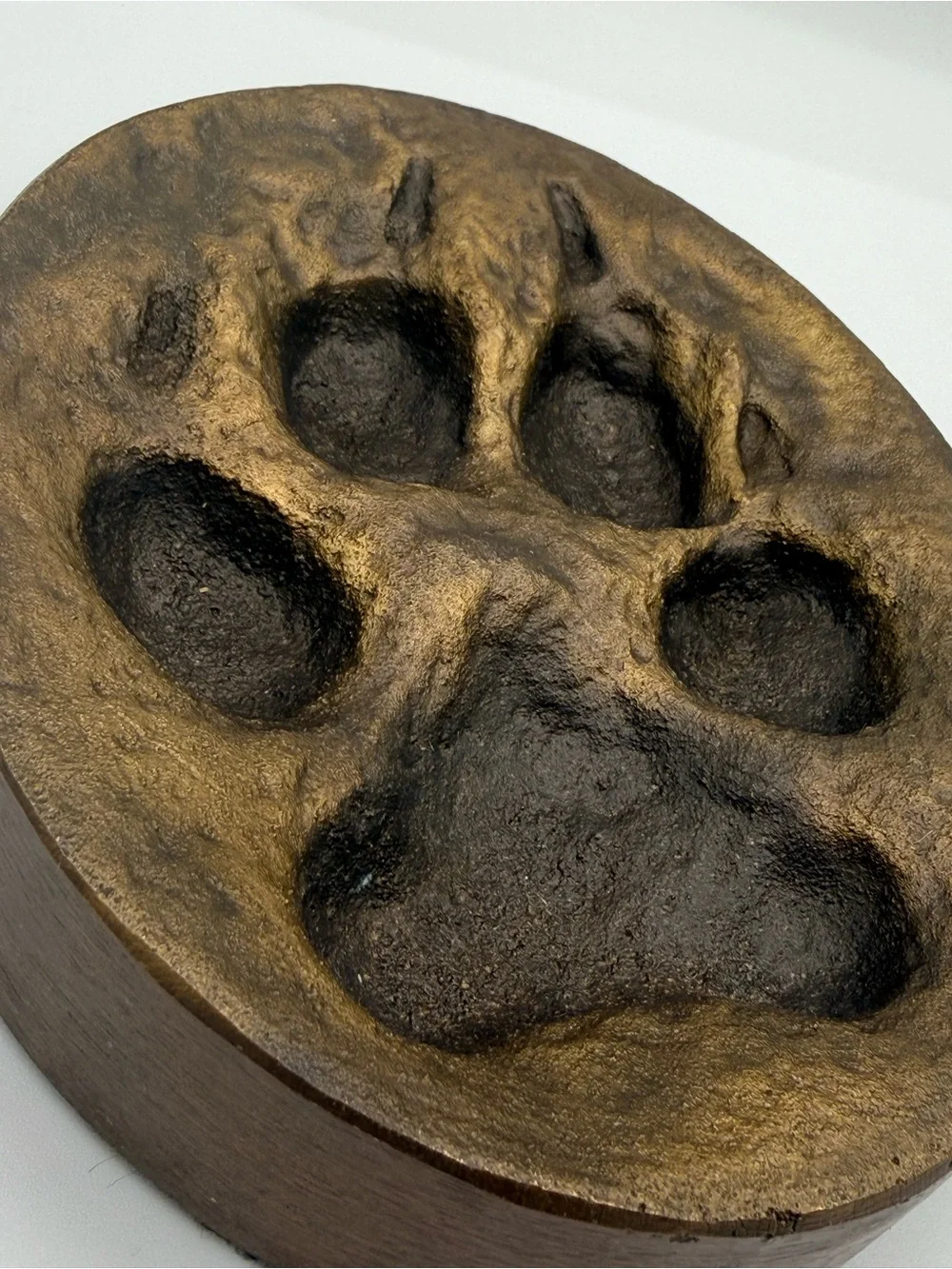 Vintage Denis Mathews Bronze Lion Paw Print Casting Kenya-Unmarked